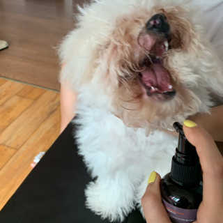 김승희님이 올린 리뷰 사진 3