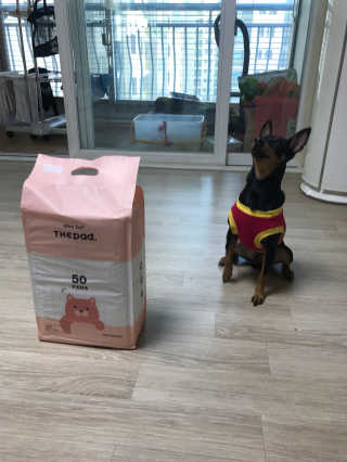 뀨뀨까까님이 올린 리뷰 사진 1
