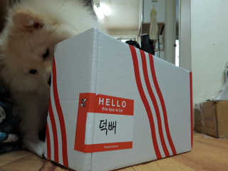 김도연님이 올린 리뷰 사진 2