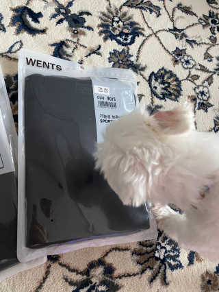 황방울이님이 올린 리뷰 사진 2
