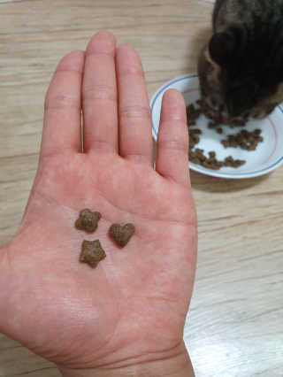 제니블링님이 올린 리뷰 사진 3