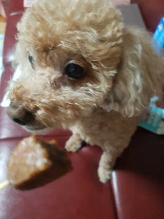 뚠꾸뚠꾸💕님이 올린 리뷰 사진 4