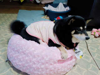 포장마차님이 올린 리뷰 사진 3