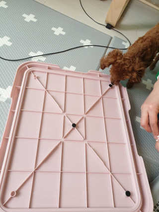김진영님이 올린 리뷰 사진 2