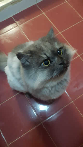 박오뎅님이 올린 리뷰 사진 3