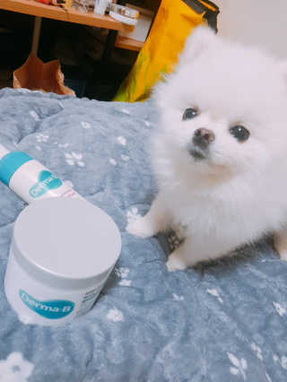 고우리님이 올린 리뷰 사진 1