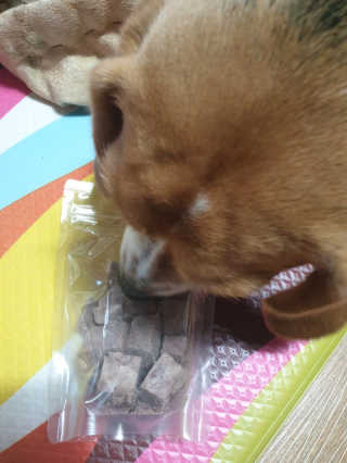 beaglelove님이 올린 리뷰 사진 2