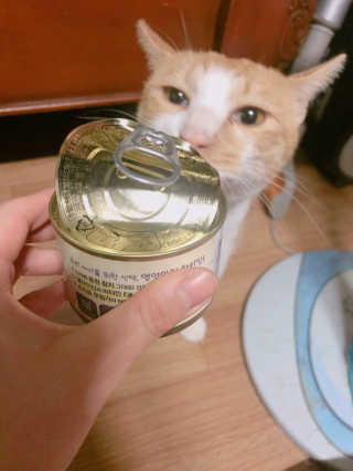 만쟈님님이 올린 리뷰 사진 1