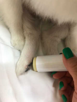 라비앙님이 올린 리뷰 사진 3
