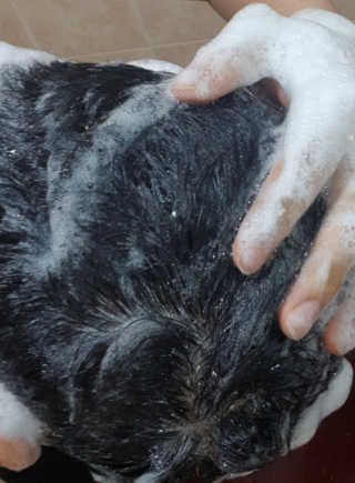 주깽쓰님이 올린 리뷰 사진 3