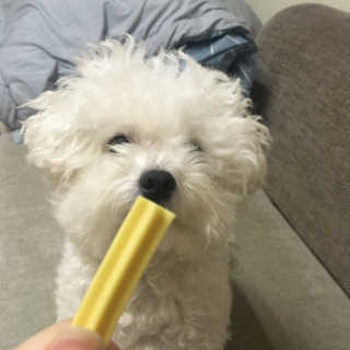 정빵님이 올린 리뷰 사진 3