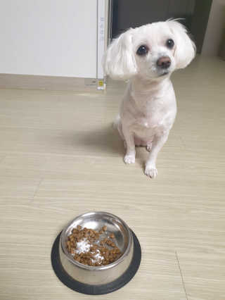 메뚝메뚝님이 올린 리뷰 사진 3