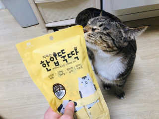 MinyeonCha님이 올린 리뷰 사진 1
