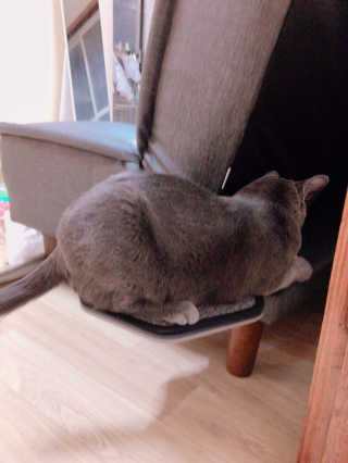 율집사님이 올린 리뷰 사진 3