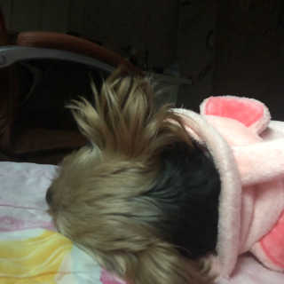 itsmeinyeong님이 올린 리뷰 사진 1