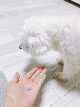 SeoYoungSim님이 올린 리뷰 사진 4