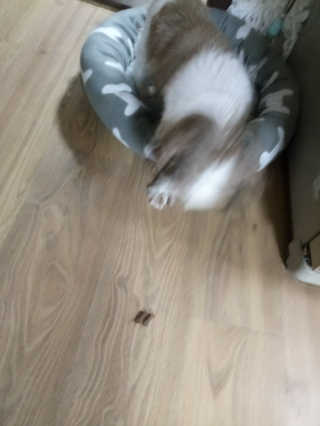 방울이님이 올린 리뷰 사진 3