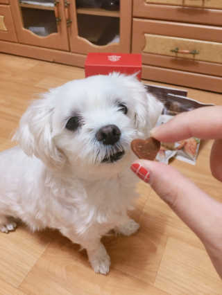 나나페이지님이 올린 리뷰 사진 3