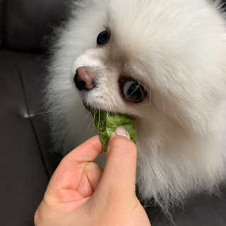 보라미90님이 올린 리뷰 사진 4