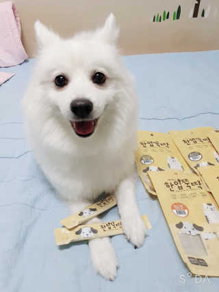 [펫토리아]짜먹는 한입뚝딱 강아지.고양이 마약간식 — 4.5점을 준 리뷰어가 2019년 8월 올린 사용 사진