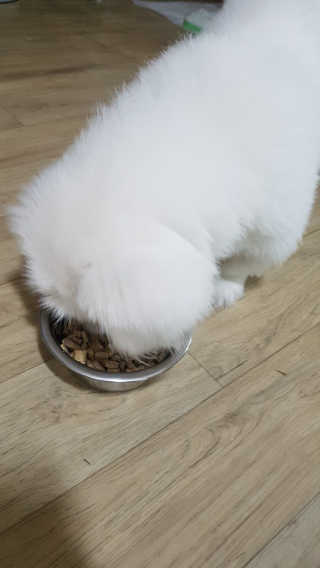 도담공주님이 올린 리뷰 사진 3