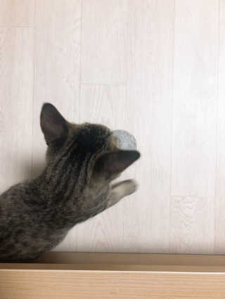 hi님이 올린 리뷰 사진 1