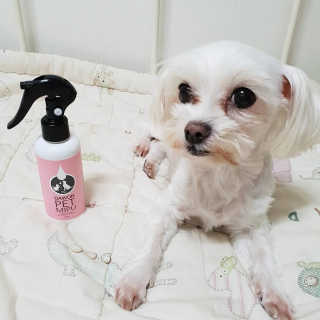 상선언니님이 올린 리뷰 사진 3