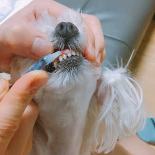 콩순이엄마님이 올린 리뷰 사진 1