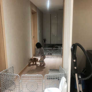 yulvvv님이 올린 리뷰 사진 2