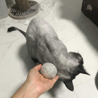 이잉룽님이 올린 리뷰 사진 2