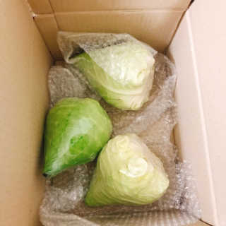 뭉뭉님이 올린 리뷰 사진 1