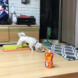 김샛별님이 올린 리뷰 사진 4