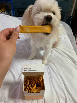 어거스트비님이 올린 리뷰 사진 4