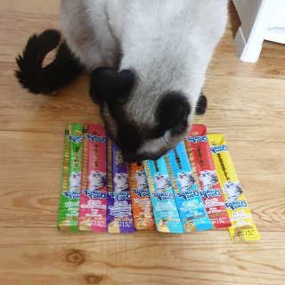 펫토리아 짜먹는 토로토로 고양이 파우치 간식 — 5점을 준 리뷰어가 2019년 6월 올린 사용 사진