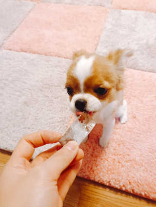 꼬몽이님이 올린 리뷰 사진 2
