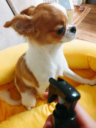 꼬몽쓰님이 올린 리뷰 사진 1