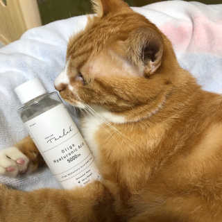 늘봄냥님이 올린 리뷰 사진 2