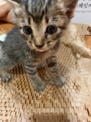 김용님이 올린 리뷰 사진 2