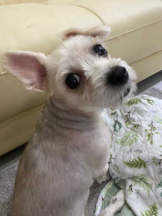 다운당님이 올린 리뷰 사진 3