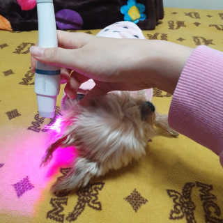 솜희님이 올린 리뷰 사진 3