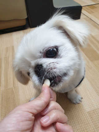 mini unni님이 올린 리뷰 사진 4