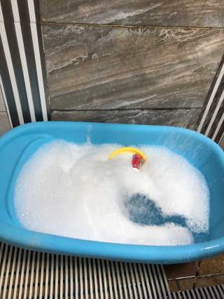 라스맘님이 올린 리뷰 사진 3