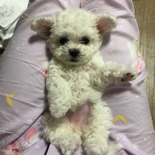 현아님이 올린 리뷰 사진 1