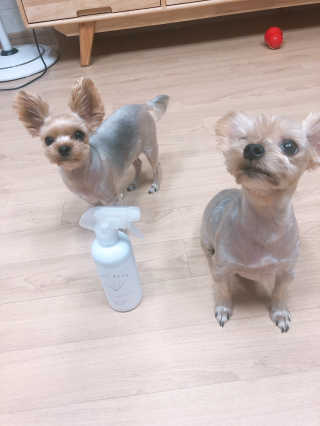 아르미님이 올린 리뷰 사진 1