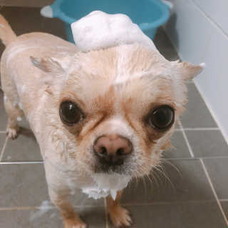 하얀비님이 올린 리뷰 사진 2