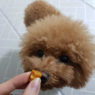 내사랑 초코♡님이 올린 리뷰 사진 4