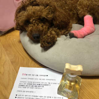 칸쵸님이 올린 리뷰 사진 4