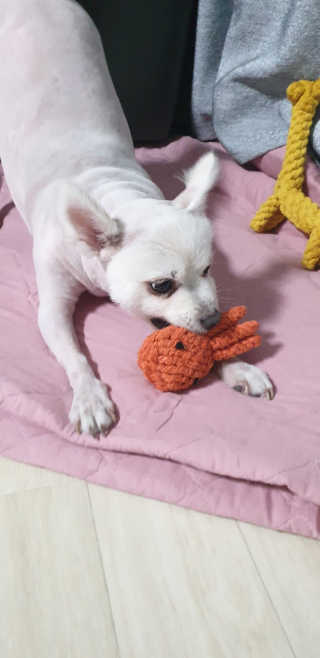 지혴님이 올린 리뷰 사진 2