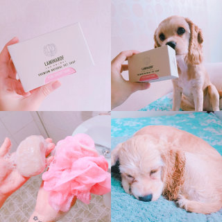 여울패밀리님이 올린 리뷰 사진 2