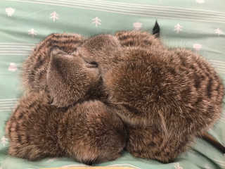 썽츄님이 올린 리뷰 사진 1